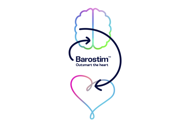 barostim anatomy animation