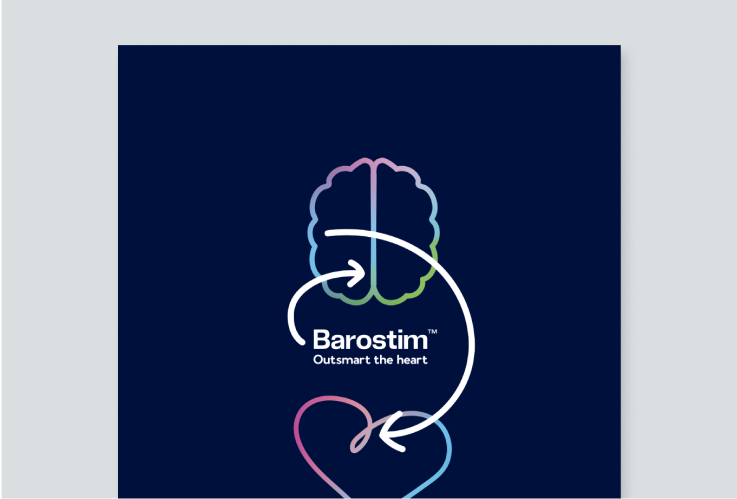 barostim hcp brochure